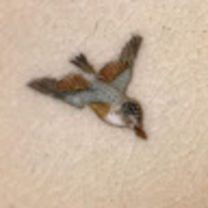 Meet your Posher, Mei